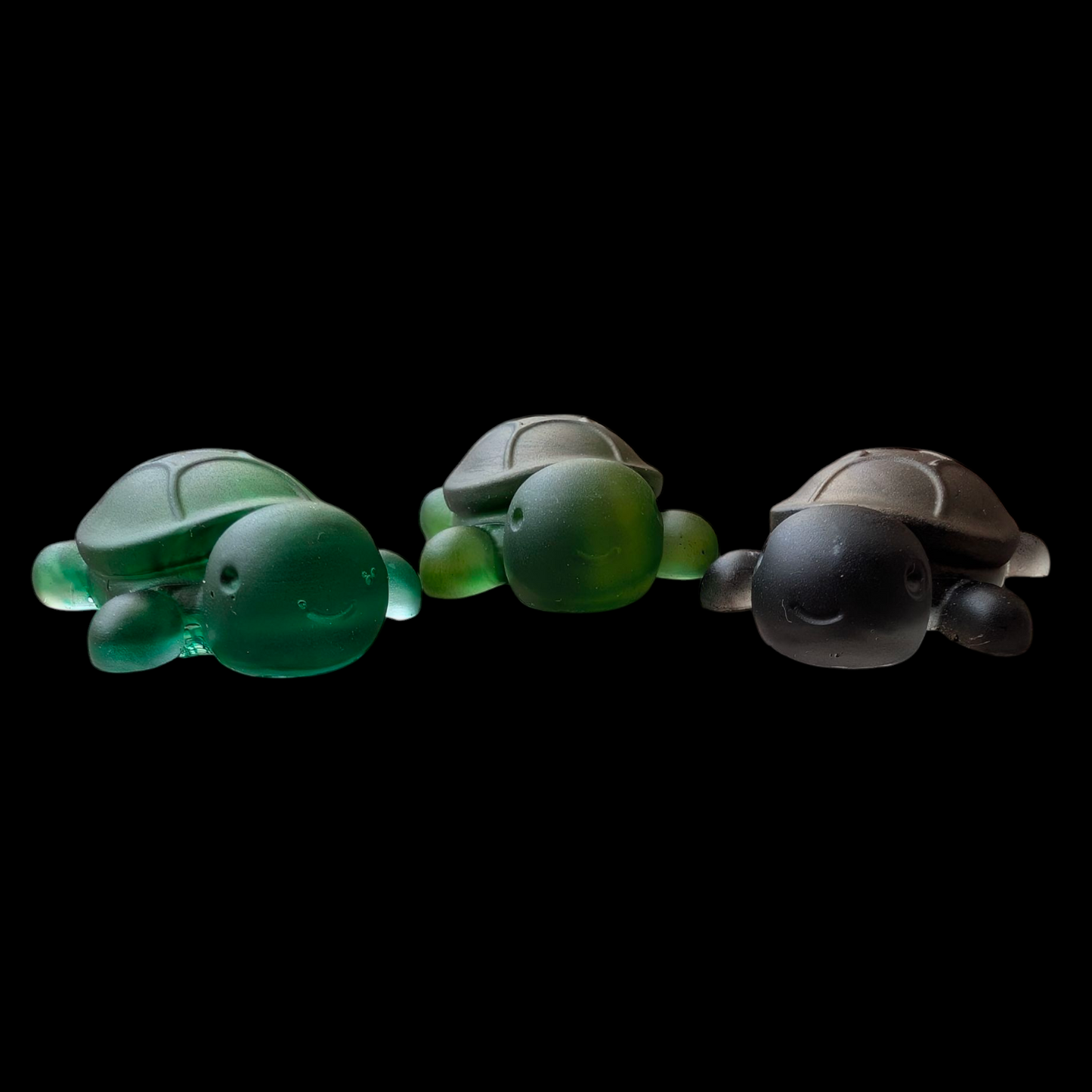 Tortuttes