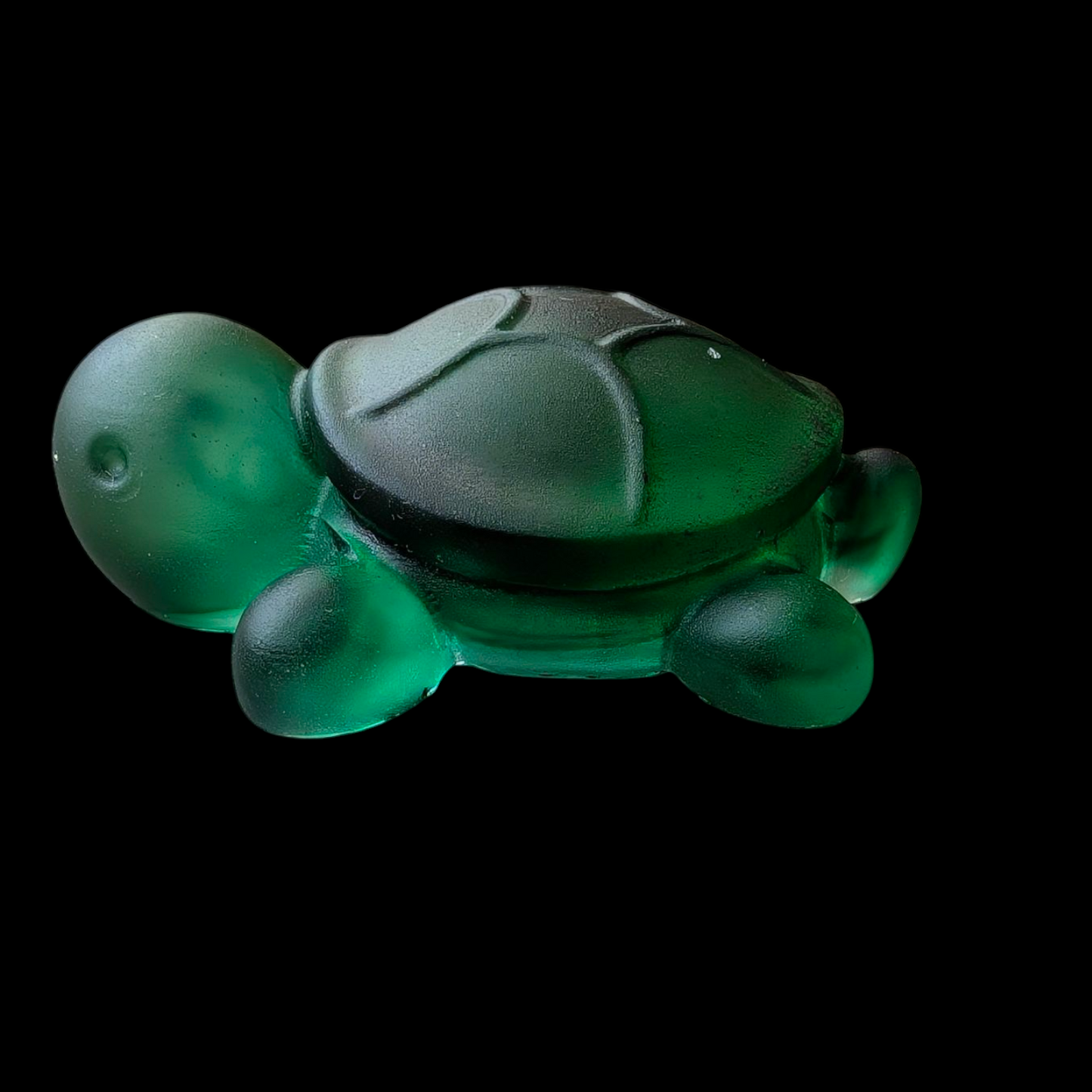 Tortuttes